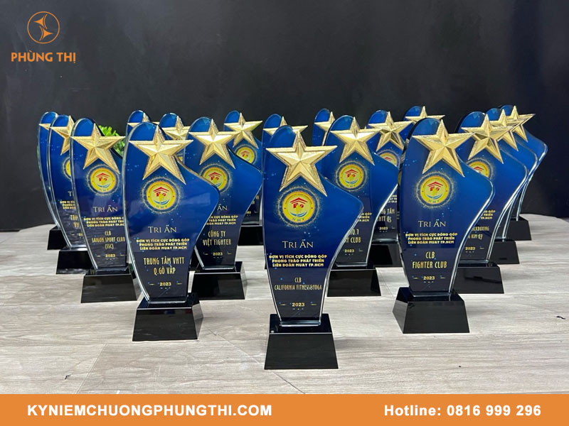 Đặt làm kỷ niệm chương pha lê giá rẻ TPHCM Đặt làm kỷ niệm chương pha lê giá rẻ TPHCM