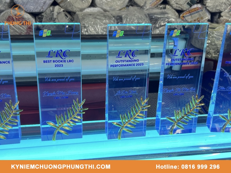 In kỷ niệm chương tại TPHCM đẹp & chất lượng In kỷ niệm chương tại TPHCM