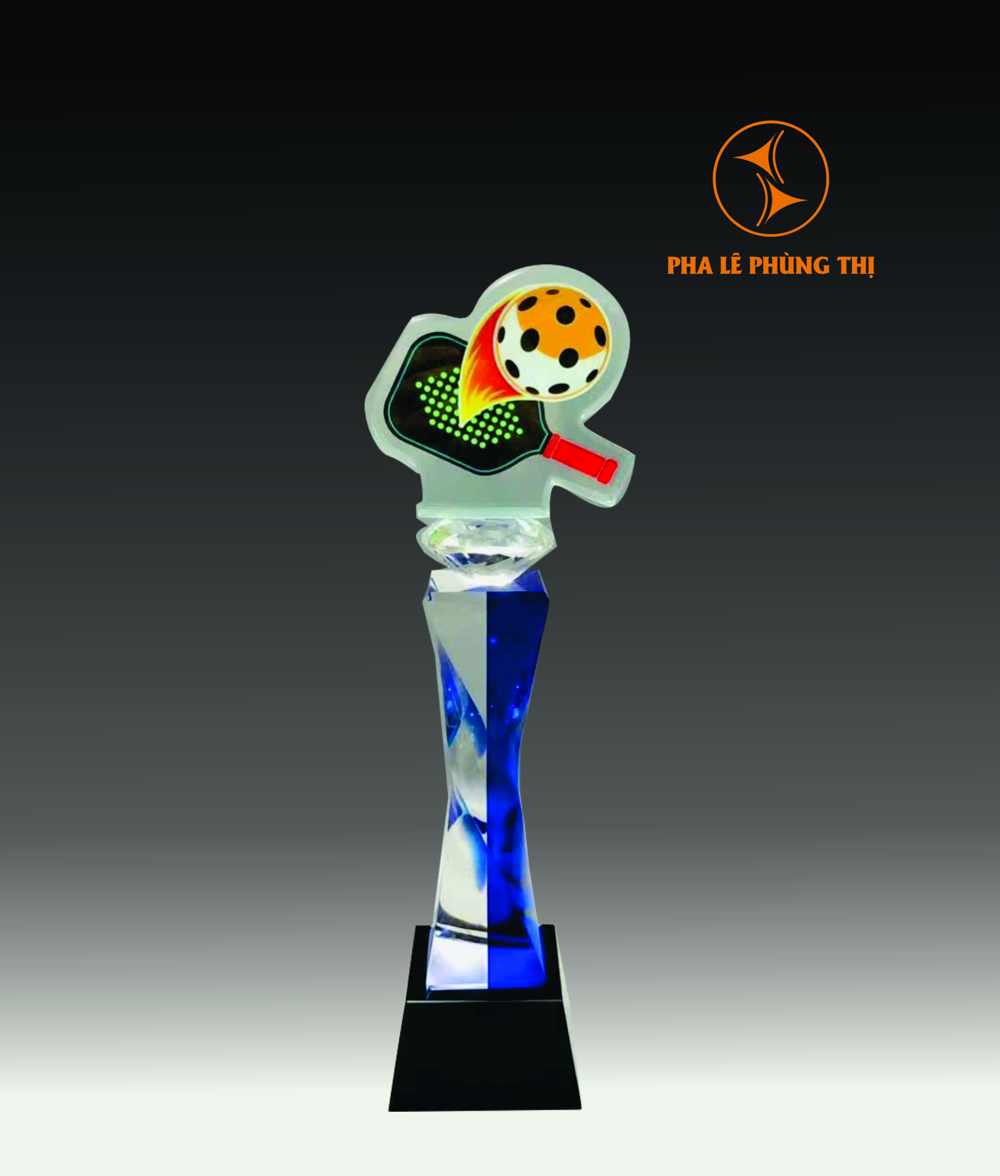 1 Cúp Pickleball CPB01