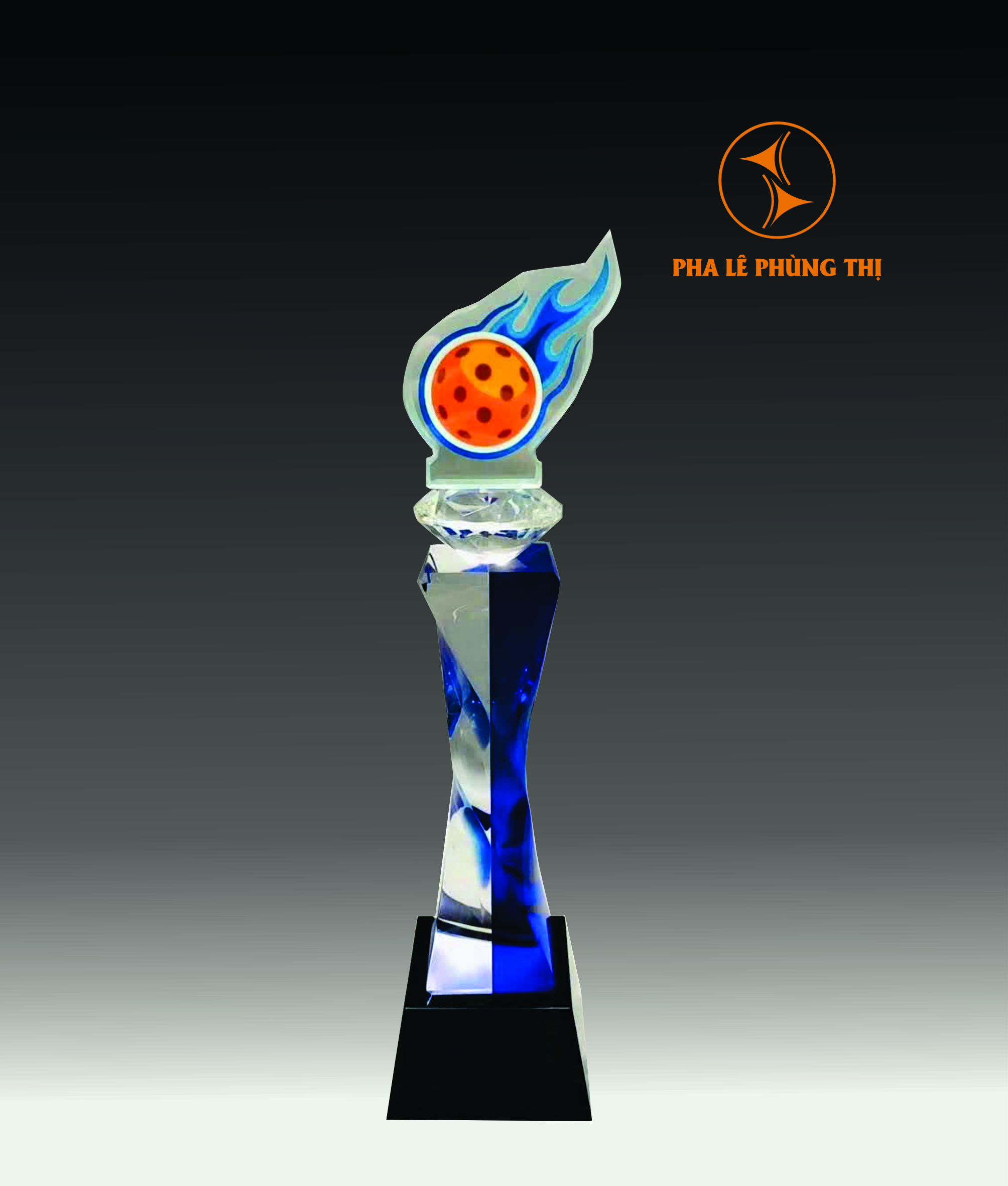 2 Cúp Pickleball CPB01