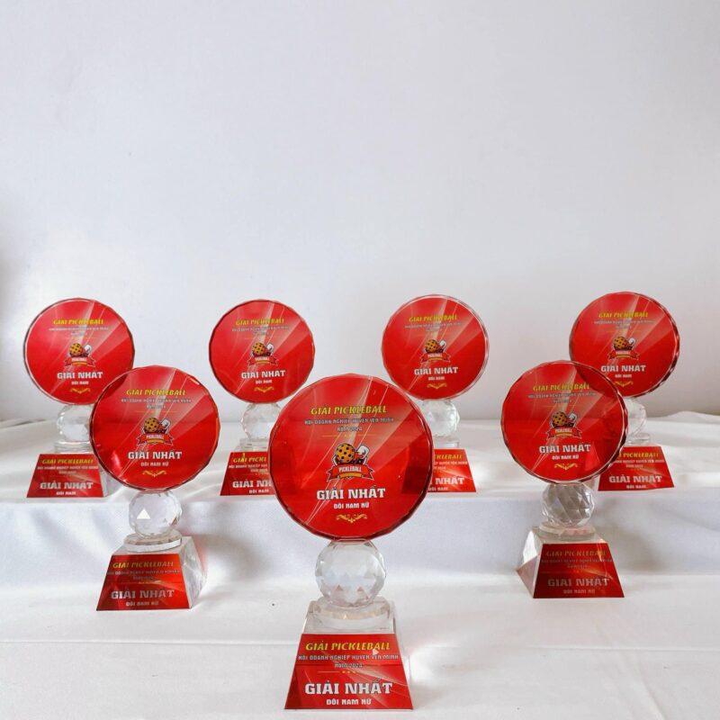 CÚP PHA LÊ DÀNH CHO CÁC TAY VỢT PICKLEBALL XUẤT SẮC