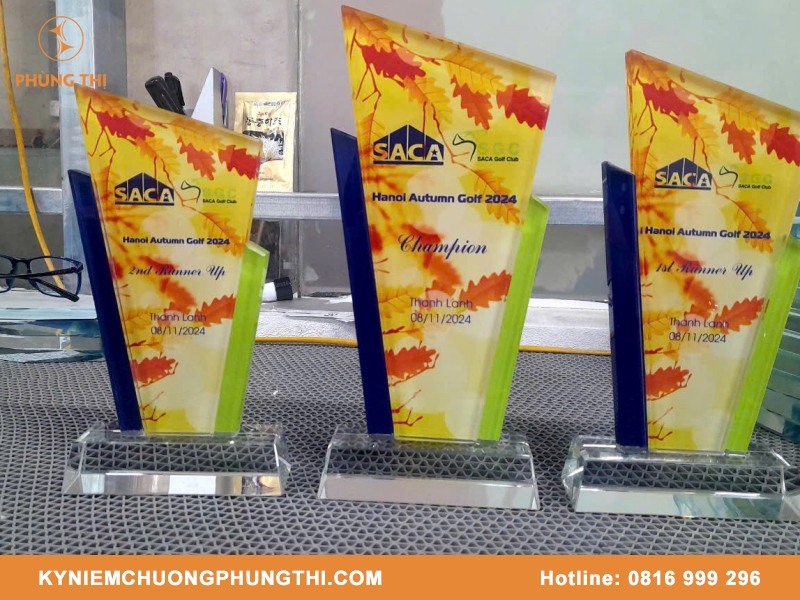 Kỷ niệm chương Bình Dương