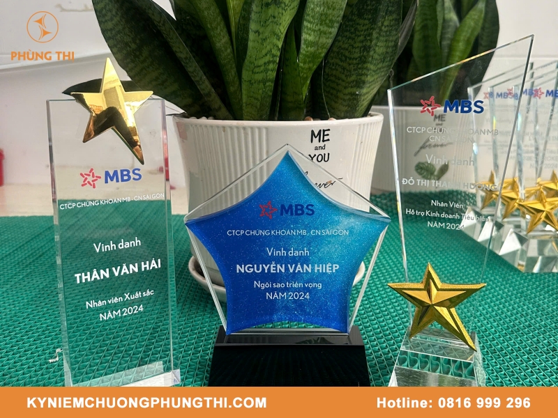 Kỷ niệm chương hình ngôi sao