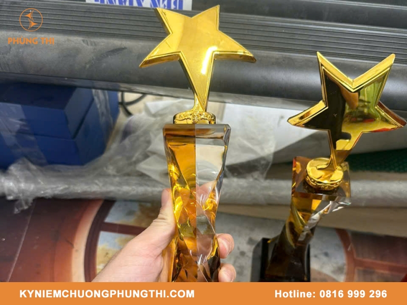 Kỷ niệm chương hình ngôi sao